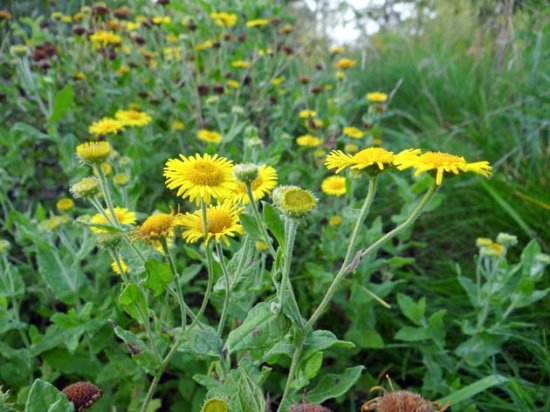 Natuur en Recreatiegebied Broekpolder