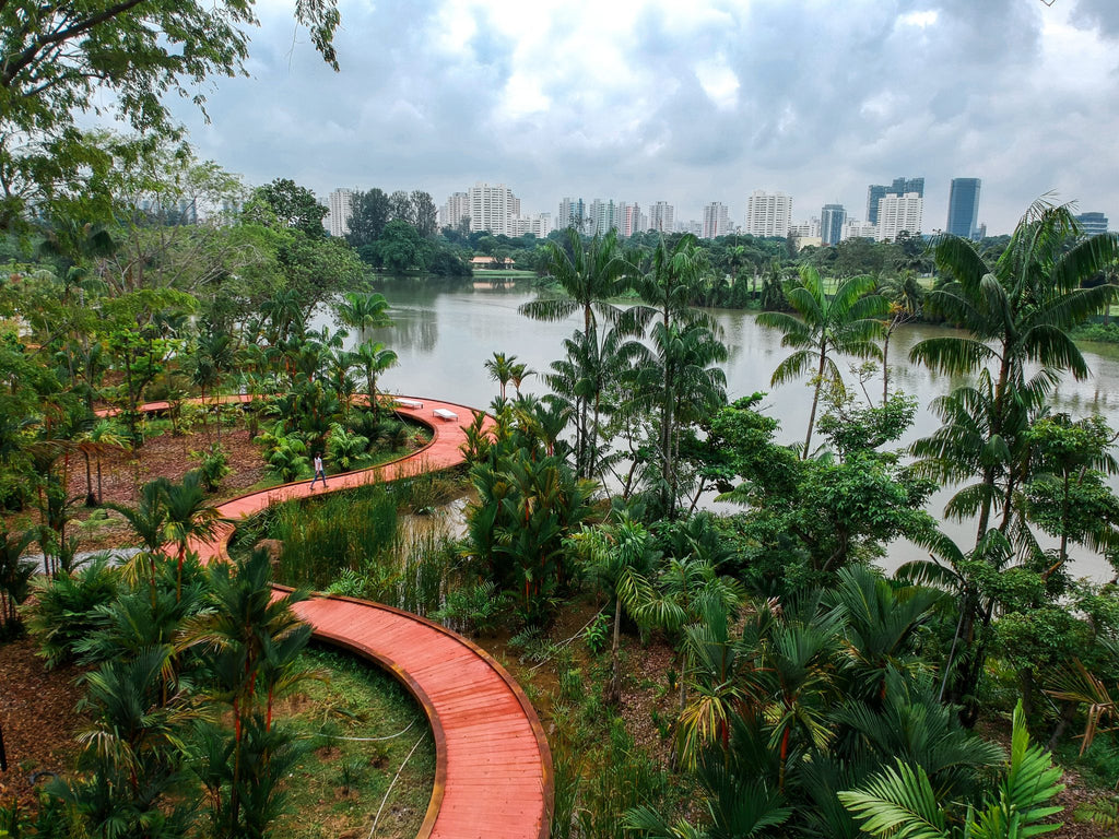 Jurong Lake Garden