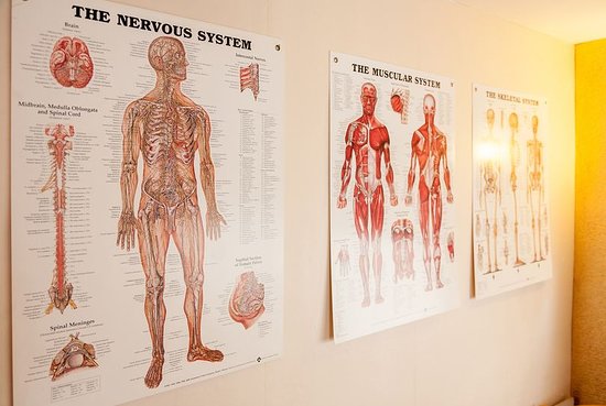 Ramses Health