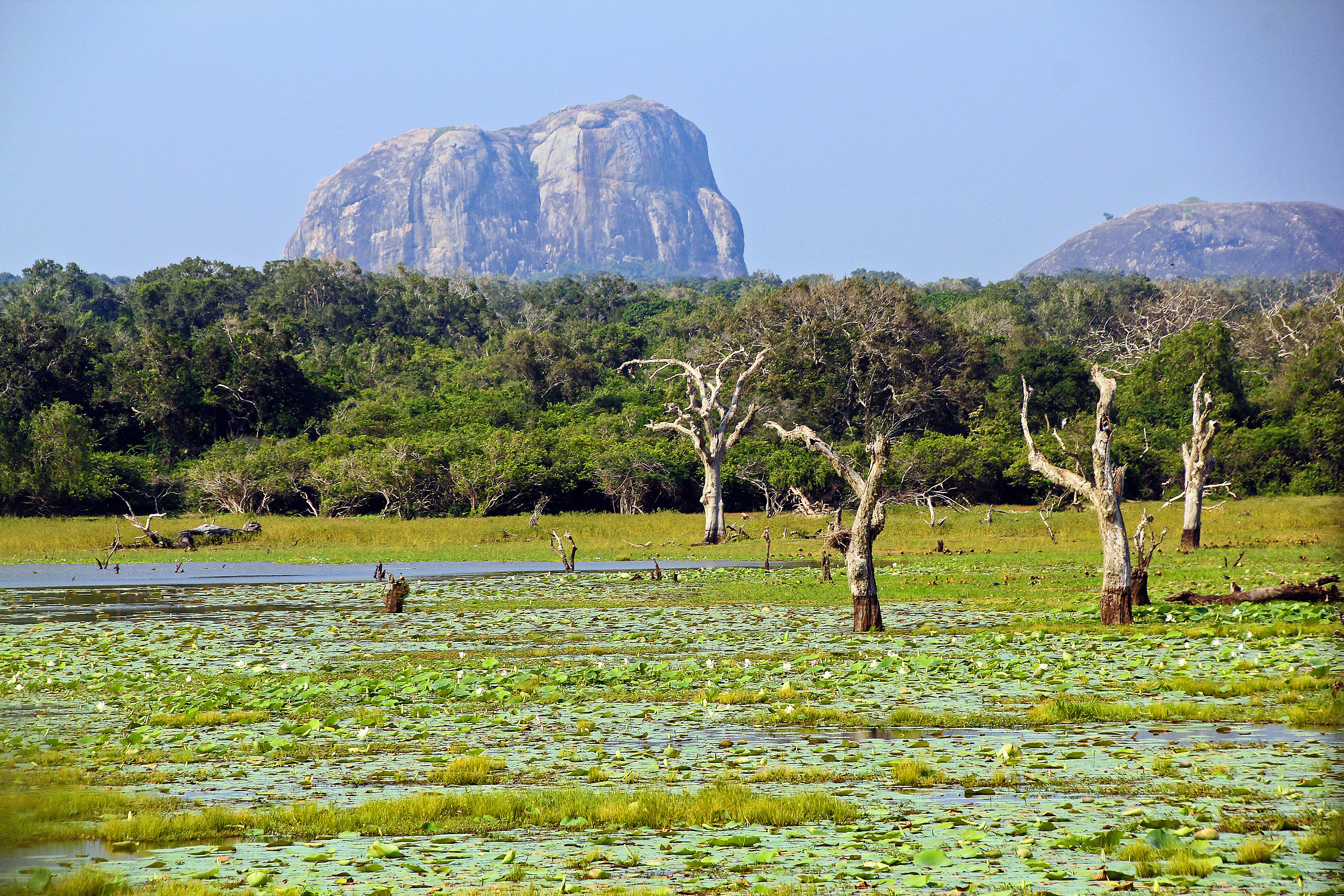 Buduruwagala