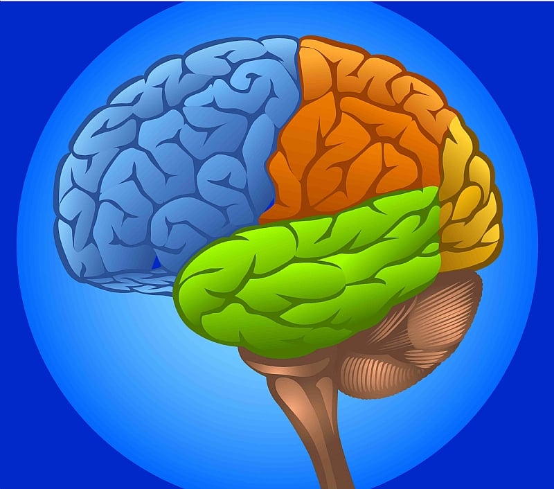 Brain Room