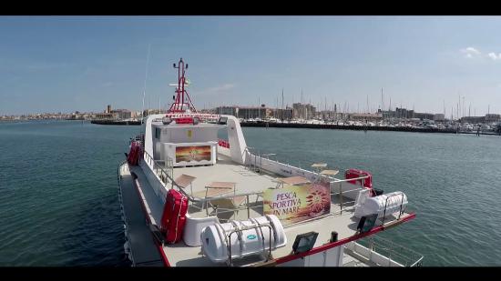 Catamarano Comfort