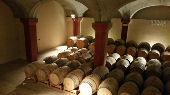 Cantina Novelli