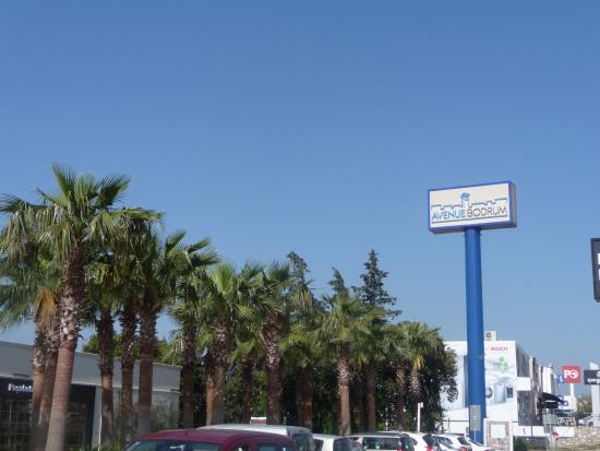 Avenue Bodrum