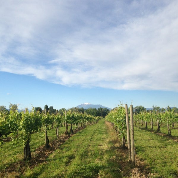Azienda Agricola Provenza