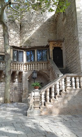 Biblioteca Comunale "S. Morelli"