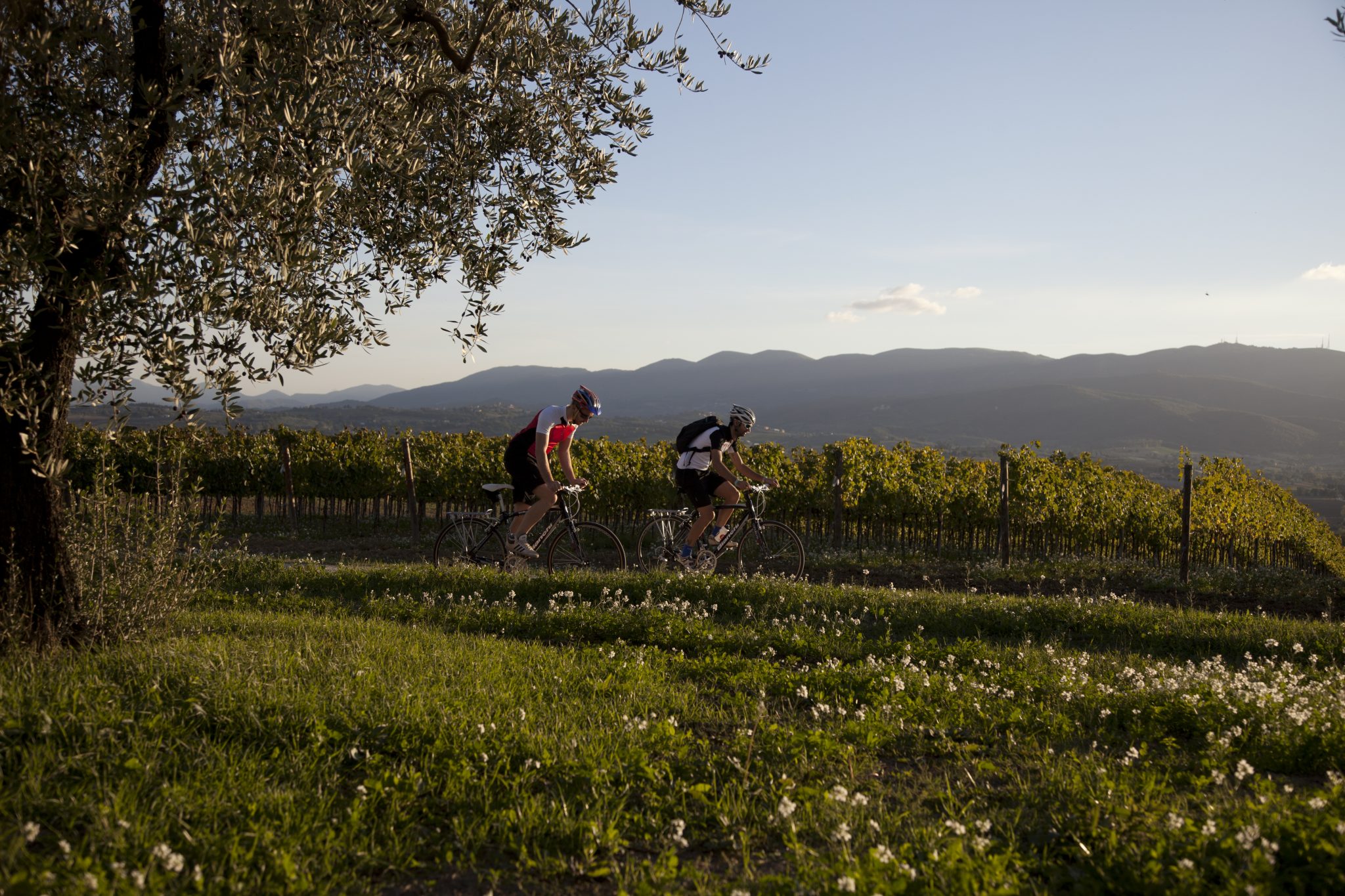 Bicycle Path Spoleto-Assisi