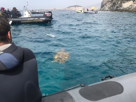 Club de Buceo Rincon de Arona