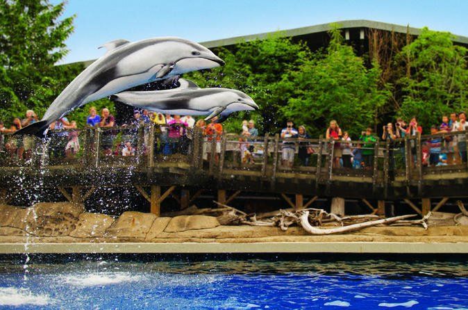 CIFA Aquarium
