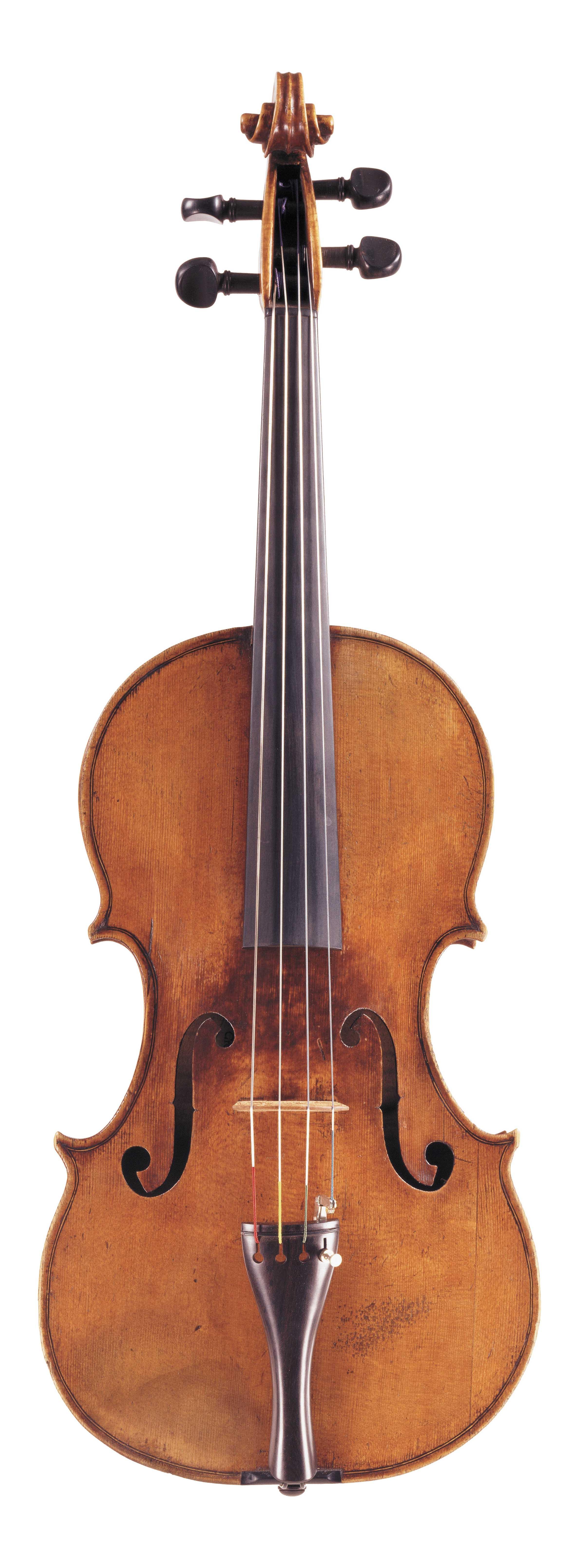Chiosco Viola