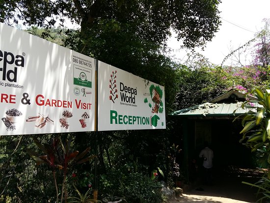 Deepa World Spice and Ayurvedic Garden