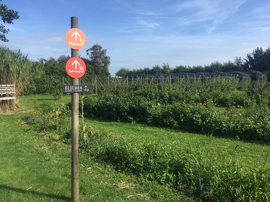 De Zelfpluktuin