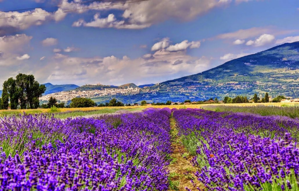 Il Lavandeto di Assisi