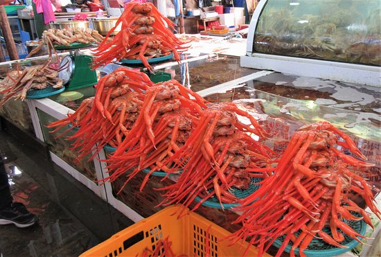 Jumunjin Fish and Seafood Market