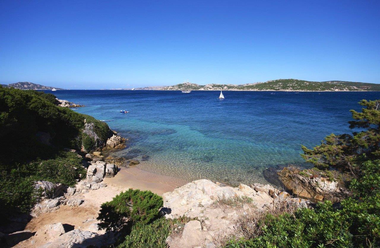 Isola del topo