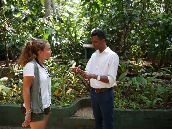 International Spice Walk