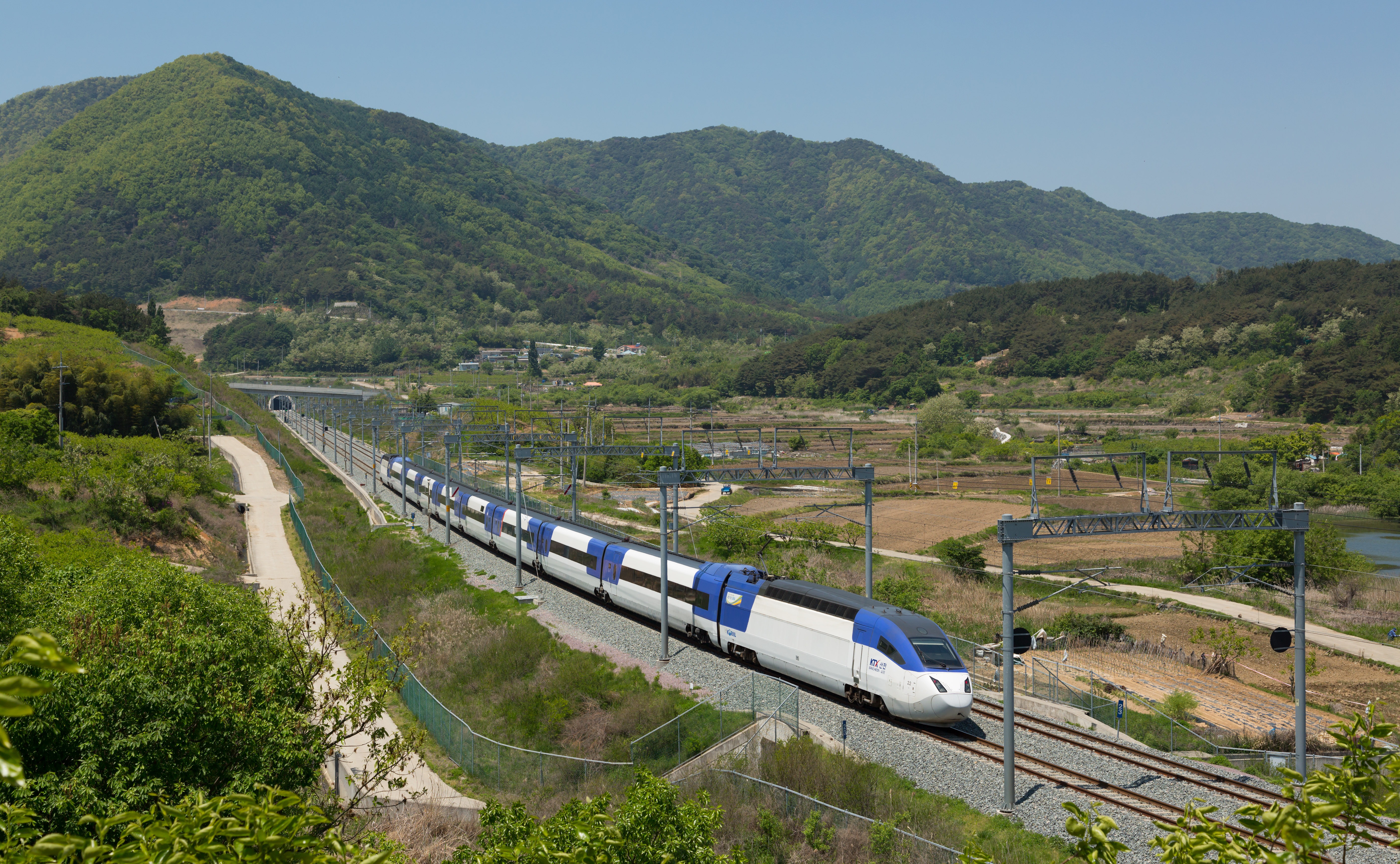 Jinhae Dream Road Cheonjabong Haeoreum Road