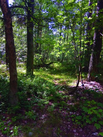 Järavallens friluftsområde