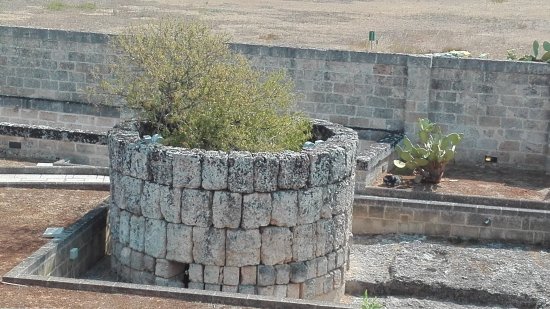 Fonte Pliniano