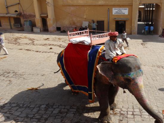 Elephantwala