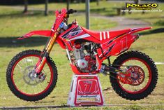 Motos Vivas