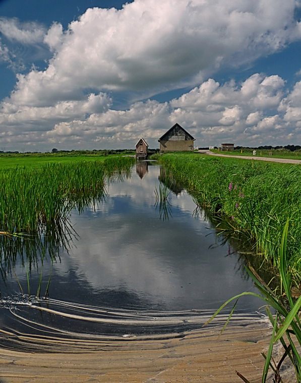 Naardermeer