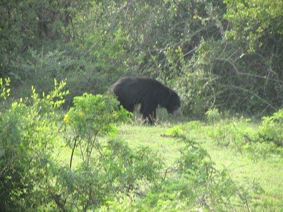 Lal Lanka Tours