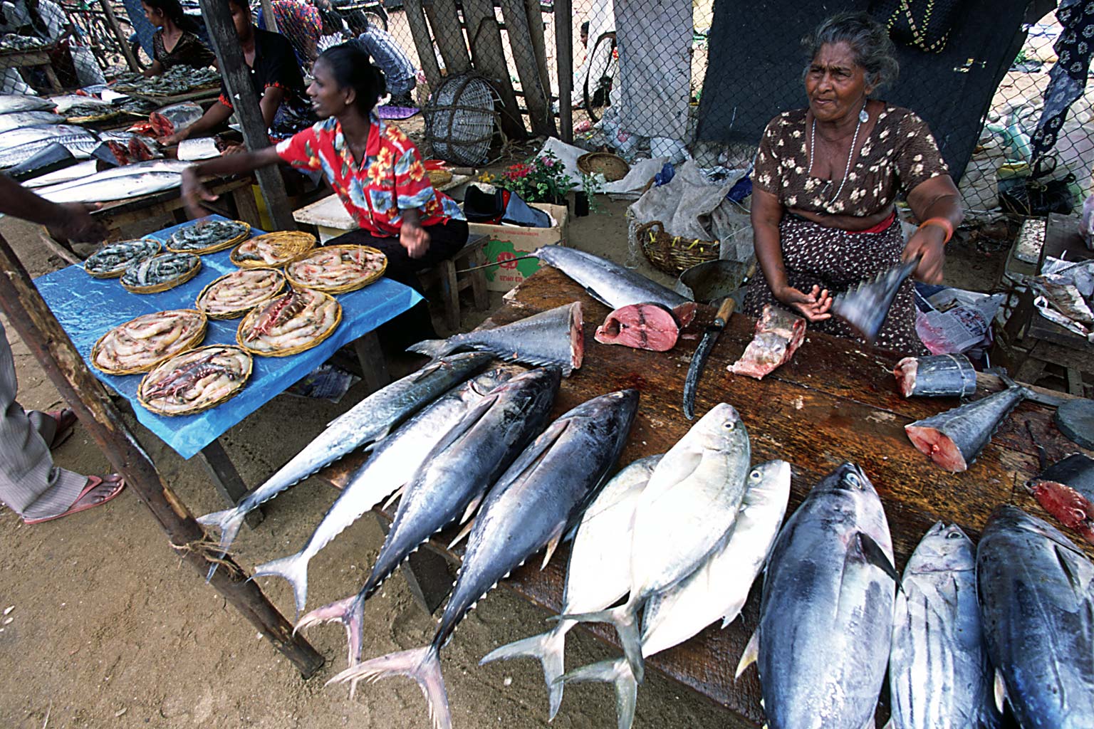 Main Fish Market