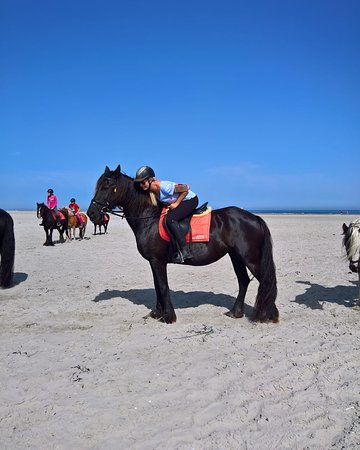 Rijstal de Blinkert