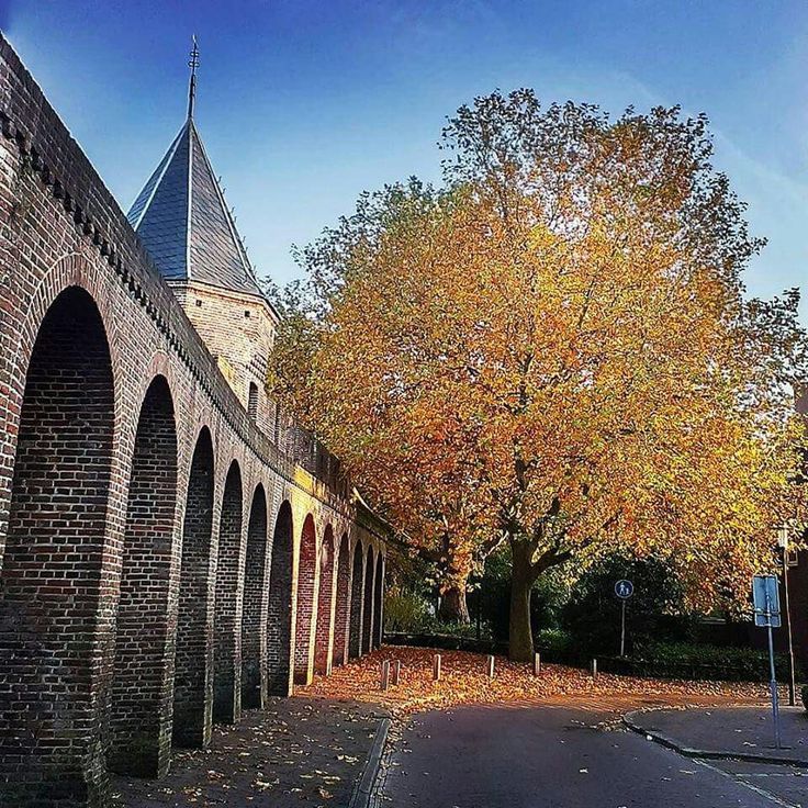 Oude Haven