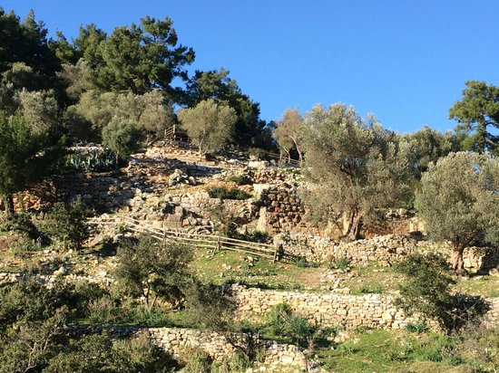 Pedasa Antique City