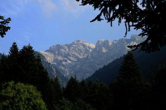 Outdoor Pictures 1