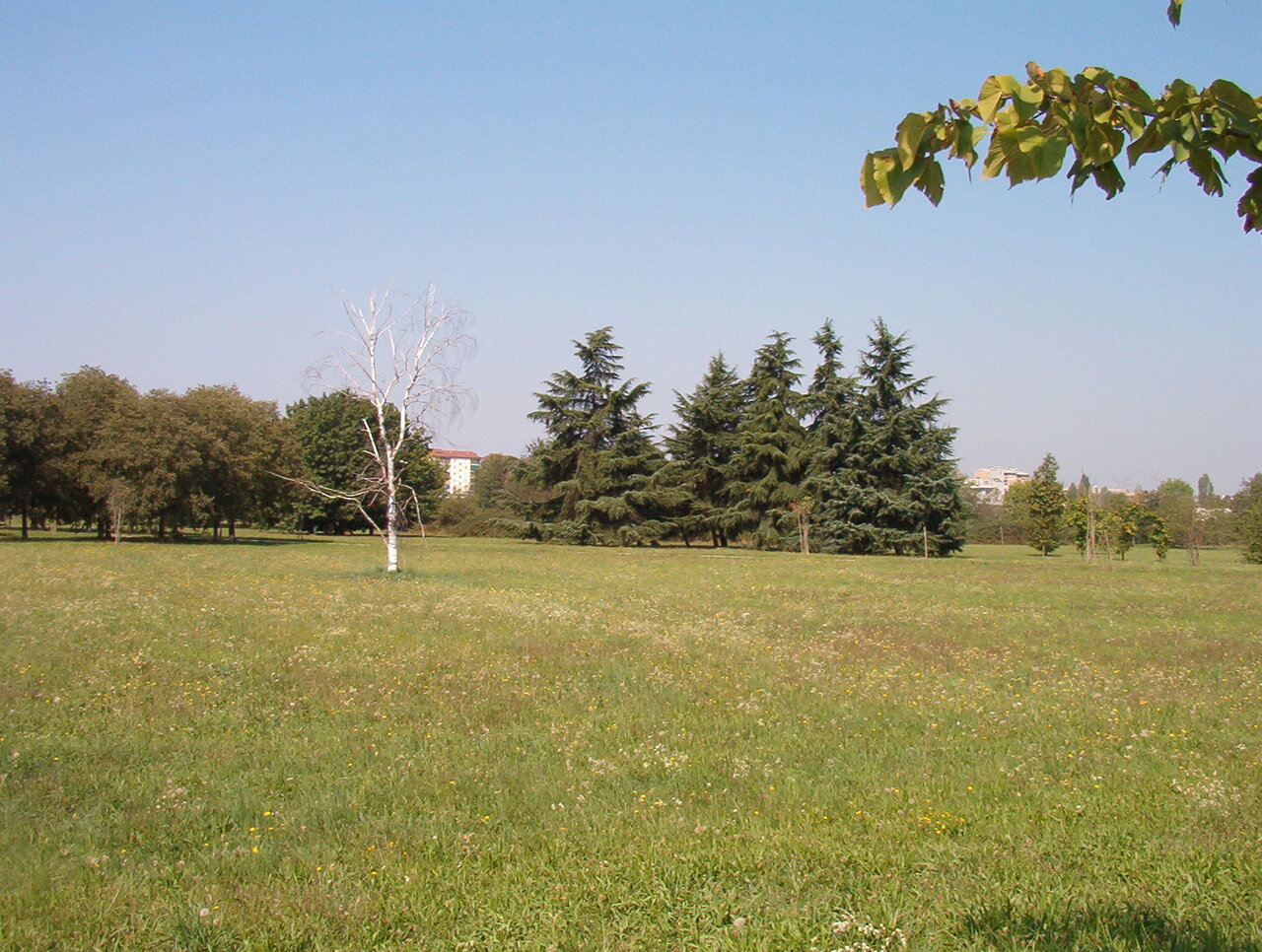 Parco Gustavo Colonnetti