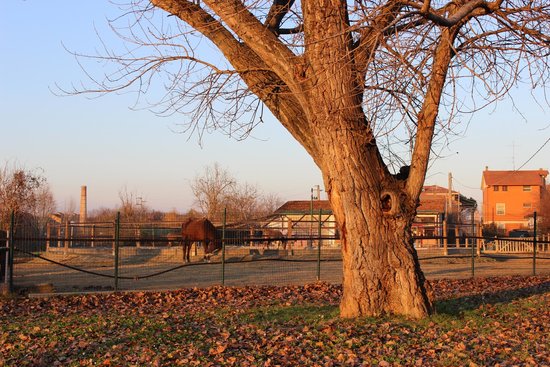 Parco Urbano Franco Agosto