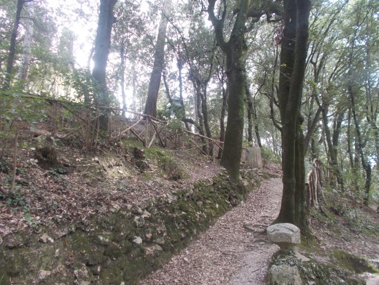 Parco Regina Margherita