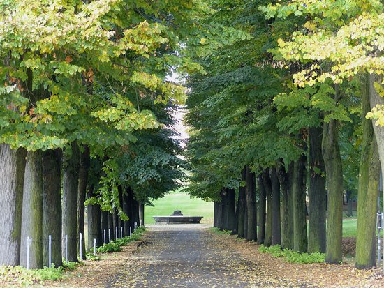 Parco Regionale La Mandria