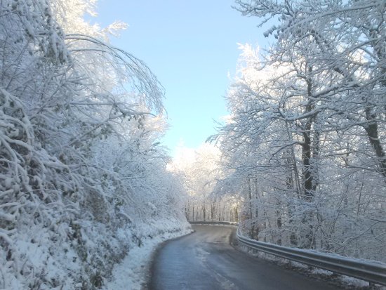 Parco del Frignano