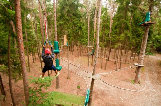 Parco Avventura Pineta