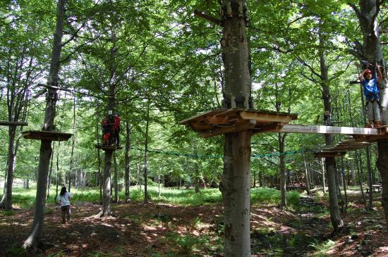 Parco Avventura Forestavventura