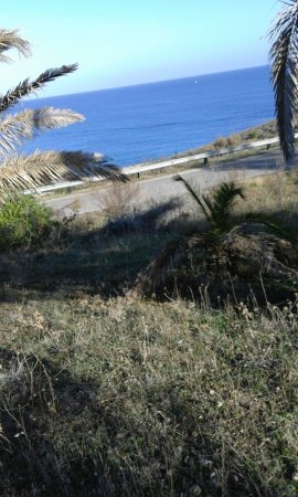 Parco Baden Powell