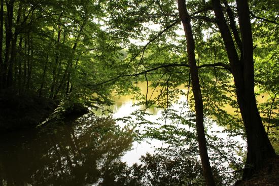 Parco forestale del Roero