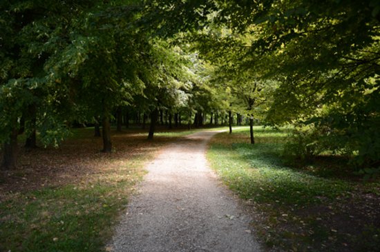 Parco delle Risorgive