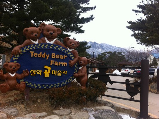 Teddy Bear Farm
