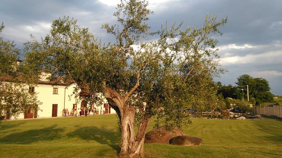 Tenuta Villa Crespia