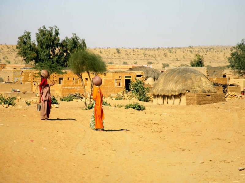 Talvriksha