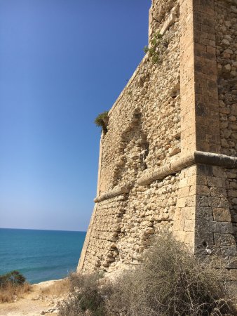 Torre San Carlo