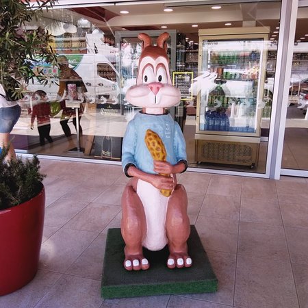 The Nut Cracker House