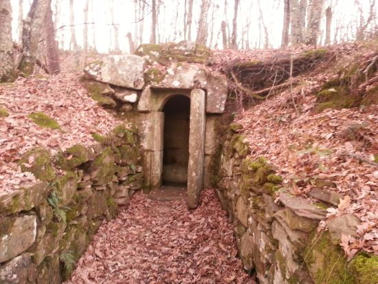 Tomba del Faggeto