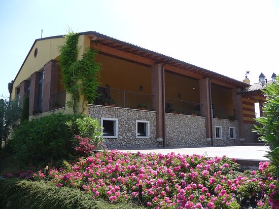 Tinazzi