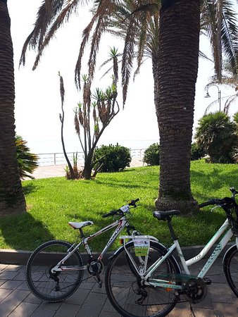 Shockblaze - Rent A Bike